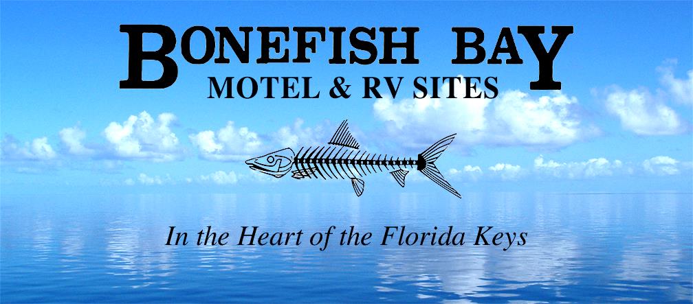 Bonefish Bay Logo